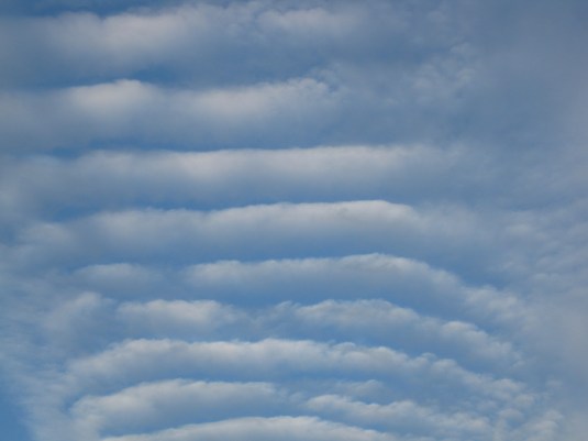 A cool cloun formation I found last week 10-18-2008